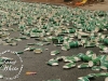 marathon7.jpg