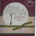 sympathy-tami-white-2