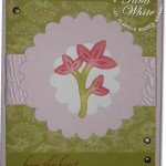 sympathy-tami-white-3