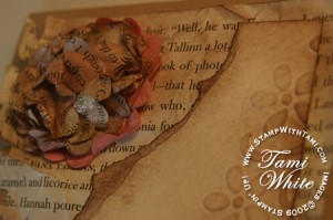 scallop-circle-flower-linda-cullen-2