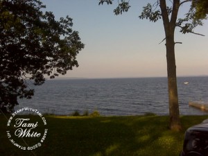 img00050 img00050