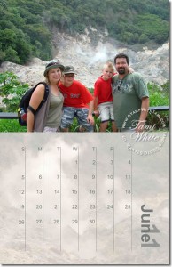 2011-calendar-june
