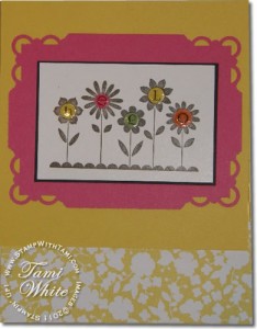 hello-blossom-nancy-juliano-2
