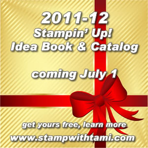 new-idea-book-tami