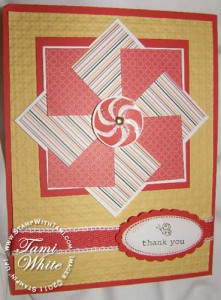 swaps6-tami-white swaps6-tami-white
