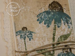 2012-02-inspired-by-nature-tami-white-1