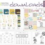 2013-02-feb 19 MDS