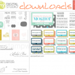 2013-04-MDS downloads-stampwithtami