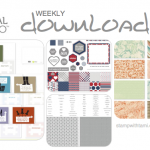 2013-06-11 MDS downloads