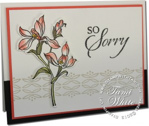 so sorry-stampin up