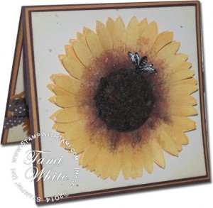 sunflower-gail lowe
