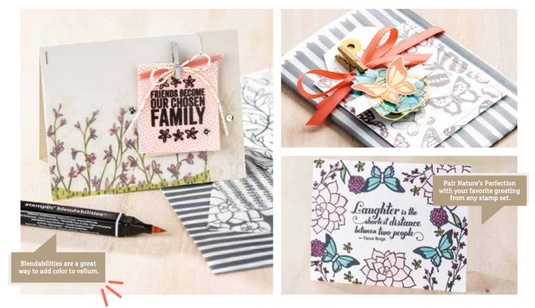 new stampin up sab products a3