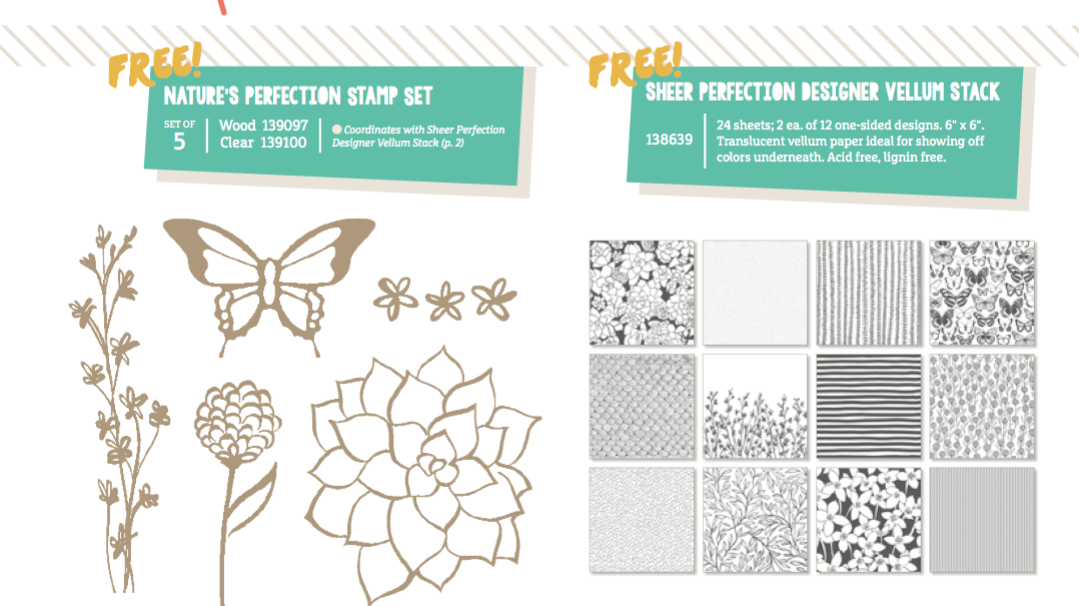 new stampin up sab products 4