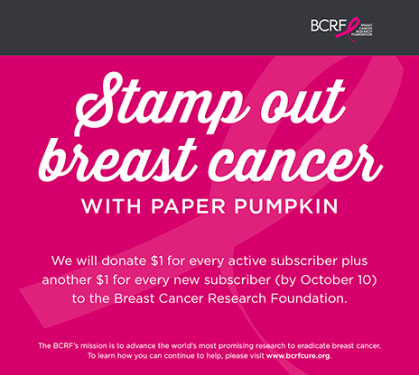 PAPER PUMPKIN IS GOING PINK! Help us support BCRF (Breast Cancer Research Foundation). Subscribe to Paper Pumpkin by October 10 and we will donate $1 for every active subscriber plus another $1 for every new subscriber!