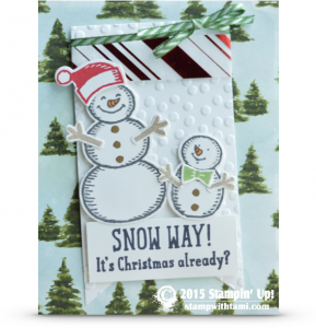 stampin up snow place snow friends card idea