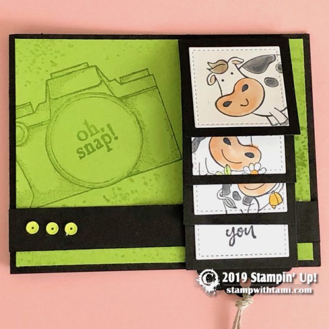 How to make a Photo Booth Film Strip Flip Card featuring Stampin Up Capture  the Good 