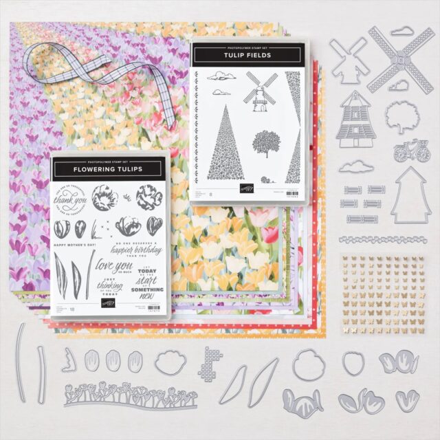 Pop & Twist Series | Stampin Up Tulip Fields Fun Fold Cards