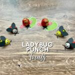 Ladybug Series Treats