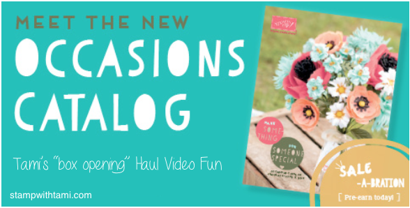 stampin up occasions video