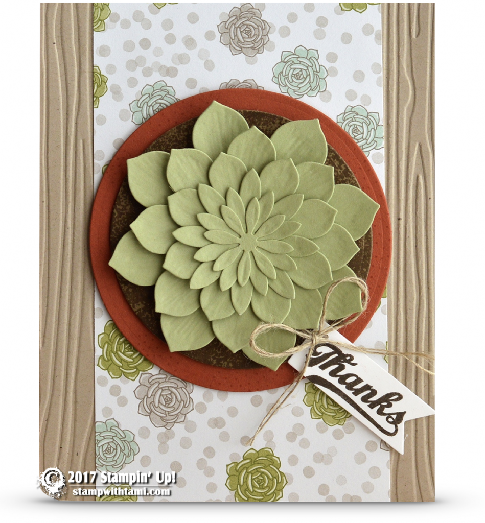 Online Class Succulent Garden Wow Card The Potted Plant Stampin Up Demonstrator Tami