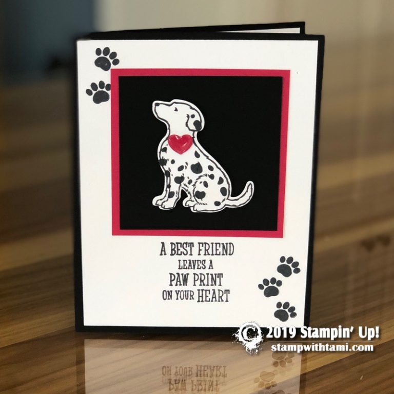 Spotlight on retiring: Happy Tails and Nine Lives Stamp Sets for the ...