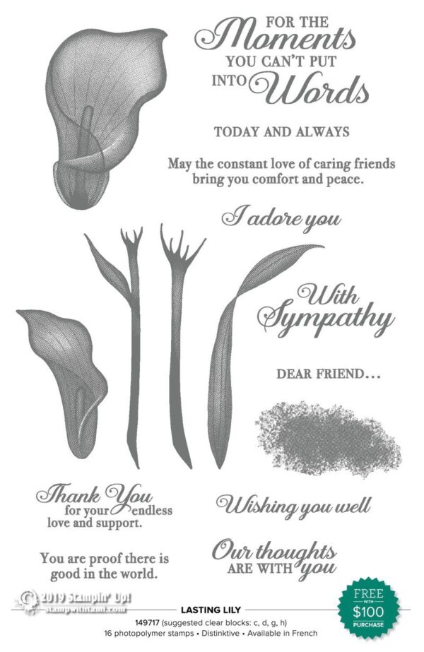 Lasting Lily Card Bundle Offer purchase the bundle and get the SAB set free Stampin' Up