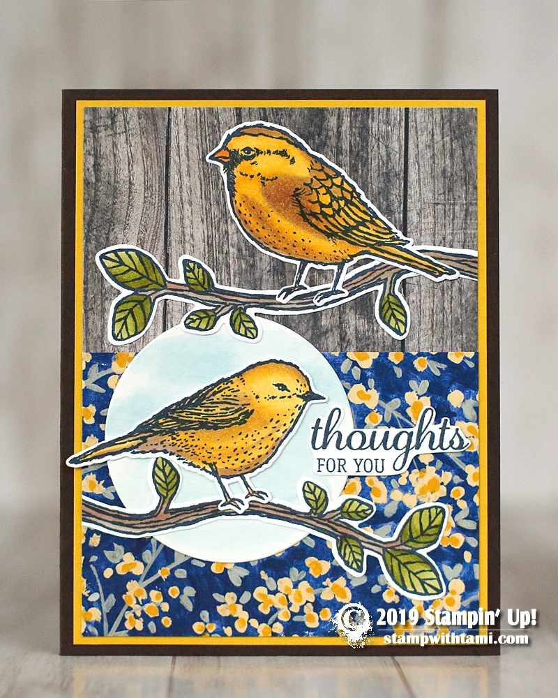 CARD: Thoughts for You from the Best Birds stamp set - Stampin' Up ...