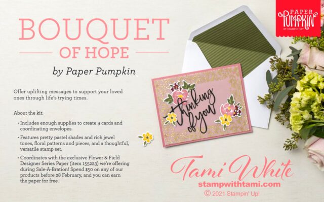January Paper Pumpkin kits & bundles