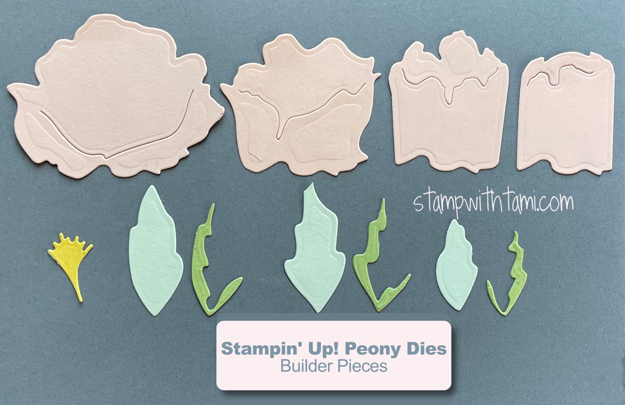 3D Peonies Twist Cards & Boxes Tutorial