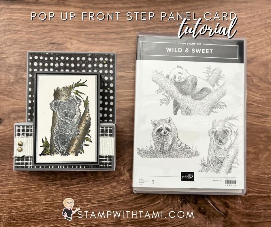 Pop Out Step Panel Series Card 10 Pop Out Step Panel Series Card 10