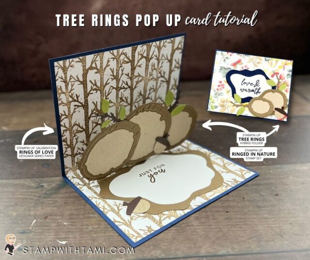 How fun is this tree ring pop up card? From pop up tree rings inside to a peak-a-boo window on the front. I created this with the new Stampin' Up Ringed in Nature Bundle, including the Tree Rings Hybrid folder. This folder cuts and embosses the tree rings at the same time.   The designer series paper is the coordinating Rings of Love Collection that is available free during Saleabration.
