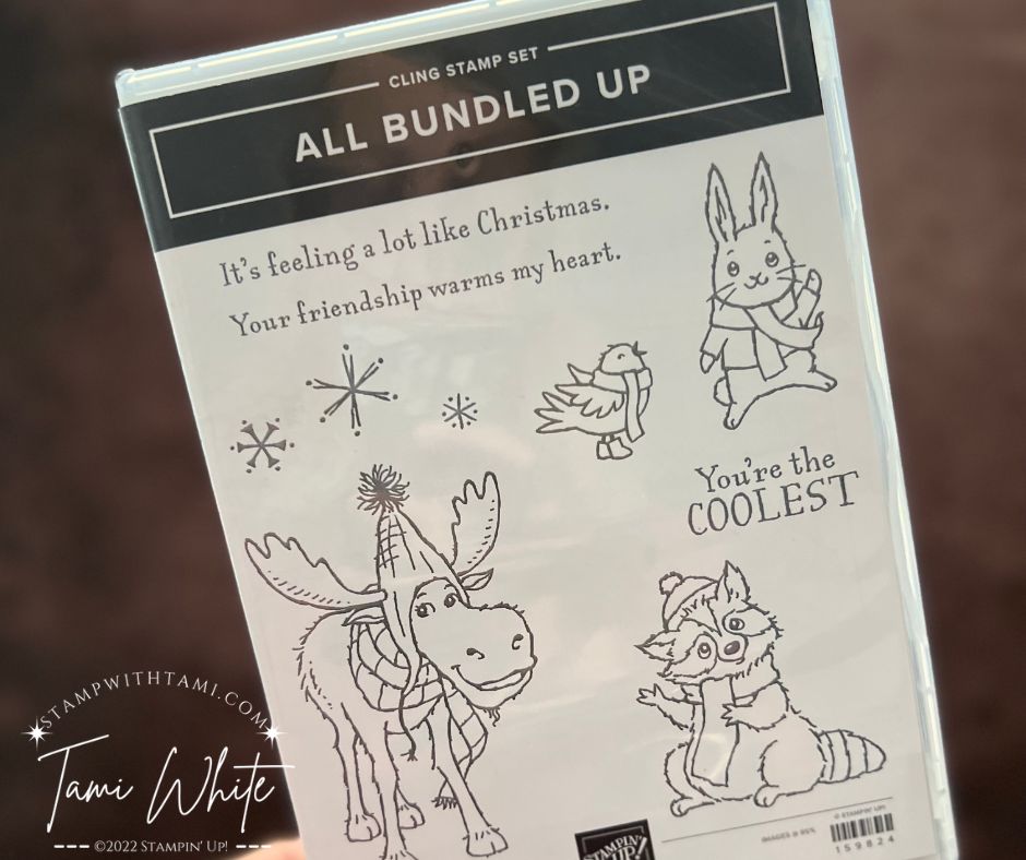 Yeti to Party [Side Step Series Card 7] Stampin Up Fun Fold Cards