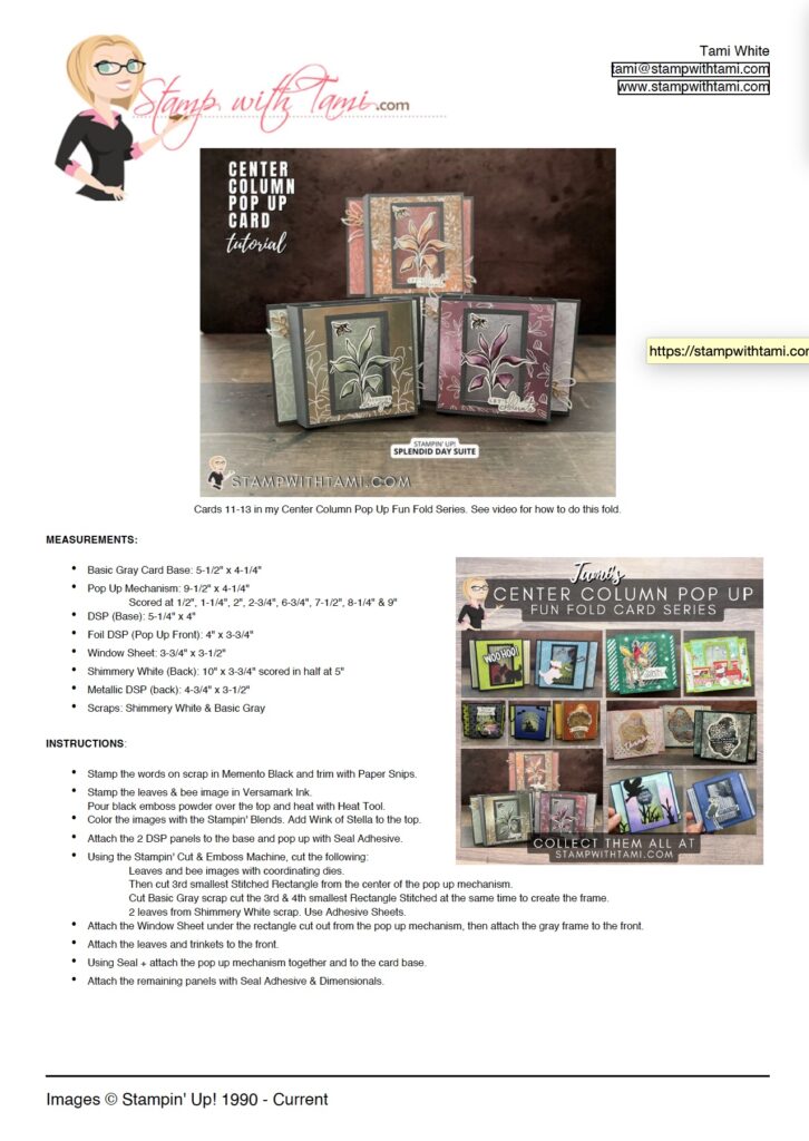 Splendid Day [Center Pop Up Series Cards 1113] Stampin Up Fun Fold Cards