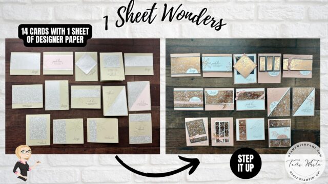 1 SHEET WONDERS   PART 1 - SPLENDID DAY SUITE  Today is my Stamp It Demonstrator’s Group Blog Hop . We’re all really excited to unveil our projects, and announce a new contest giveaway. To continue on your journey through our projects, simply use the BLOG HOPPERS links below.  On a budget or in a hurry? Short on time to make your holiday cards, or need invites fast? 
I'll share how to make 14 quick and easy cards with 7 sheets of Cardstock and 1 sheet of designer series paper in minutes.   This is my biggest video ever - 140 new cards! I have created a series of 5 different 1 sheet wonder sets. Each set includes 28 cards: 14 beautiful and simple cards created with cardstock and 1 sheet of 12" x 12" designer series paper as well as how to step up the same set of 14 cards to WOW cards. 
