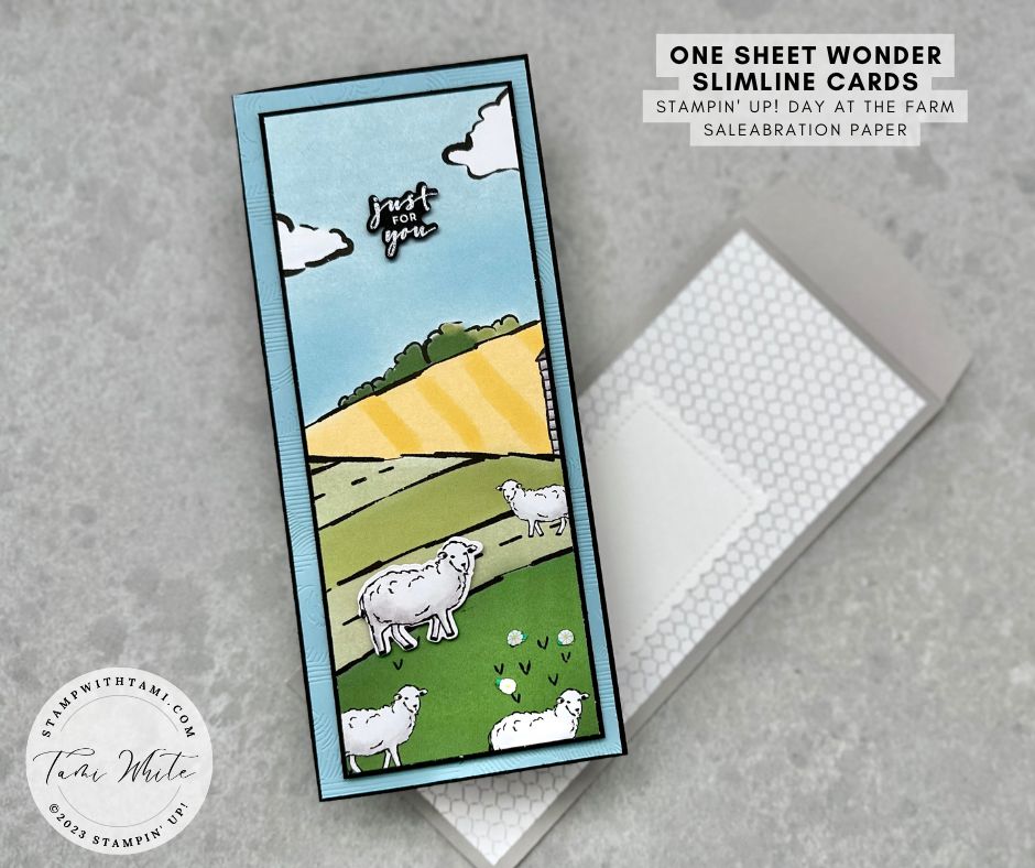 Day at the Farm 1 Sheet Wonder Slimline Cards - Stampin' Up ...