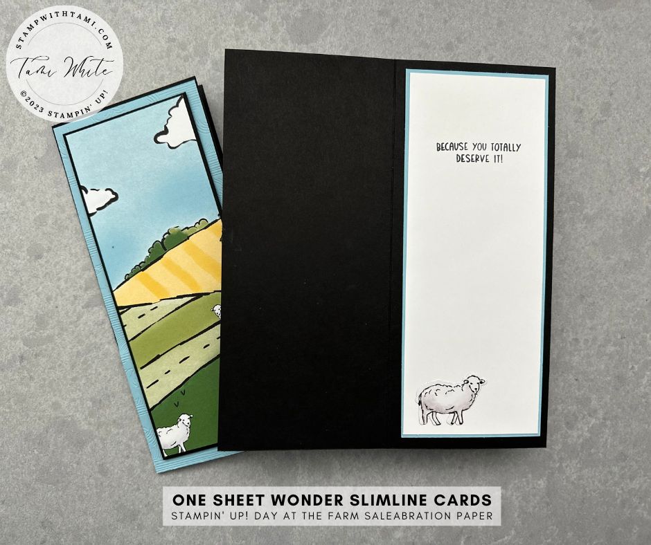 Day at the Farm 1 Sheet Wonder Slimline Cards - Stampin' Up ...