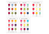 2023 COLOR COACH
