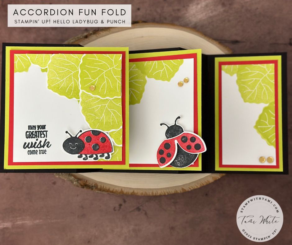 Stampin-Up-hello-ladybug-and-punch-accordion-fold-cards3 image