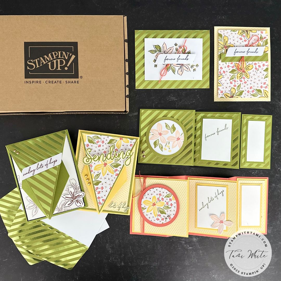 Stepping Up Kits: Forever Friends Card Kit Fun Folds