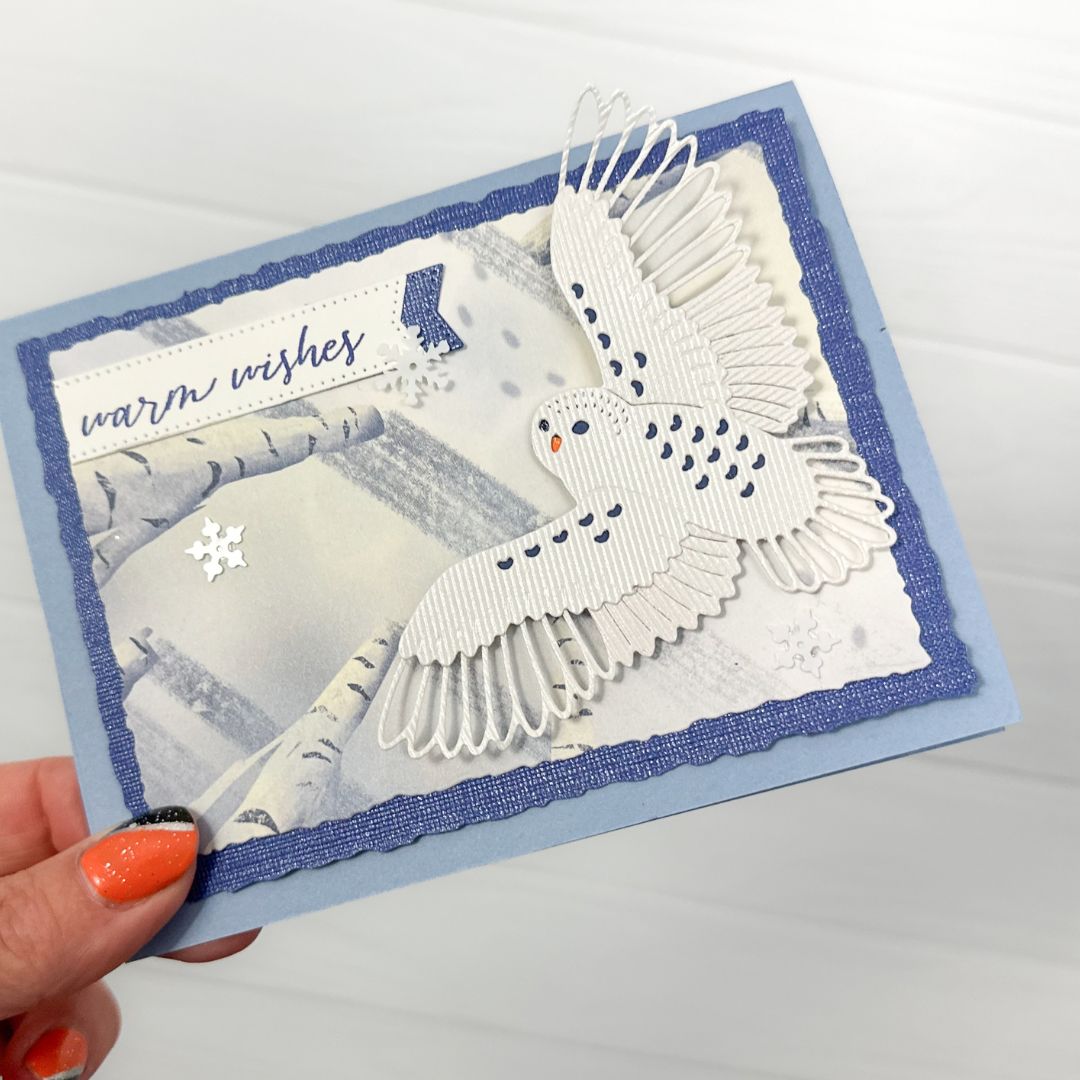 Shimmery Winter Owl Card