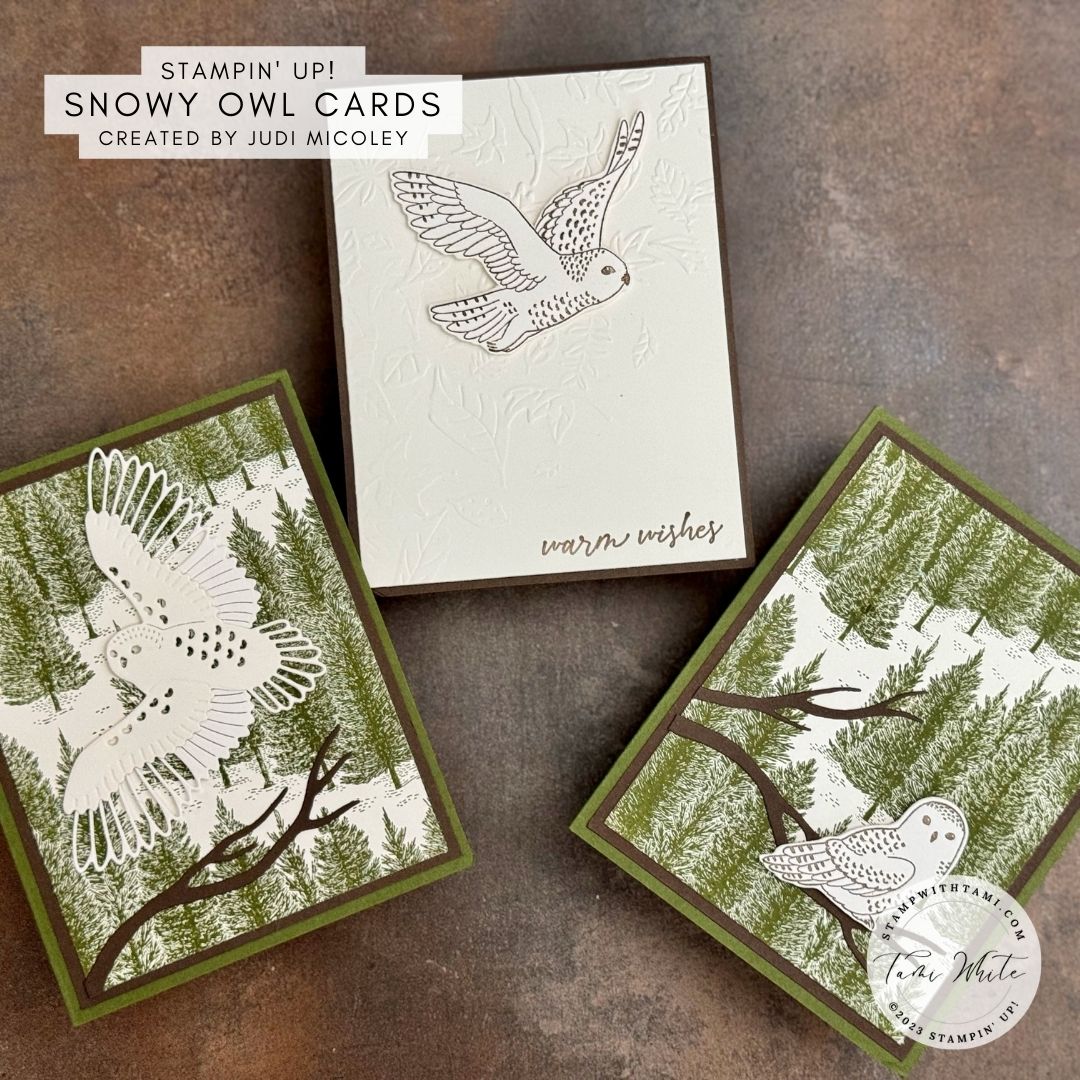 Winter Winter Owl Cards