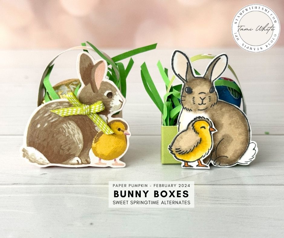 Bunny Boxes with Sweet Springtime Kit - Stampin' Up! Demonstrator 