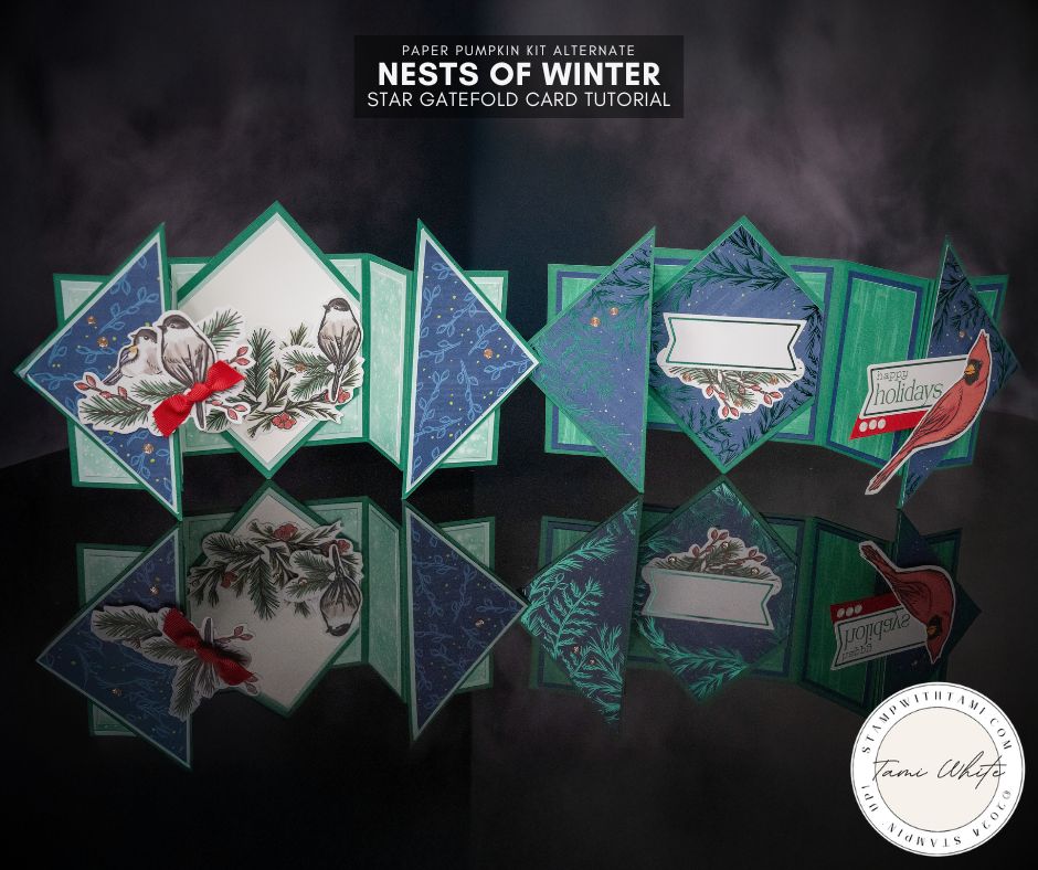 ★*★様 GOOD MORNING INVADER Stampop スタンポップ Nests of Winter Star Gatefold Cards – Series #2 - Stampin' Up