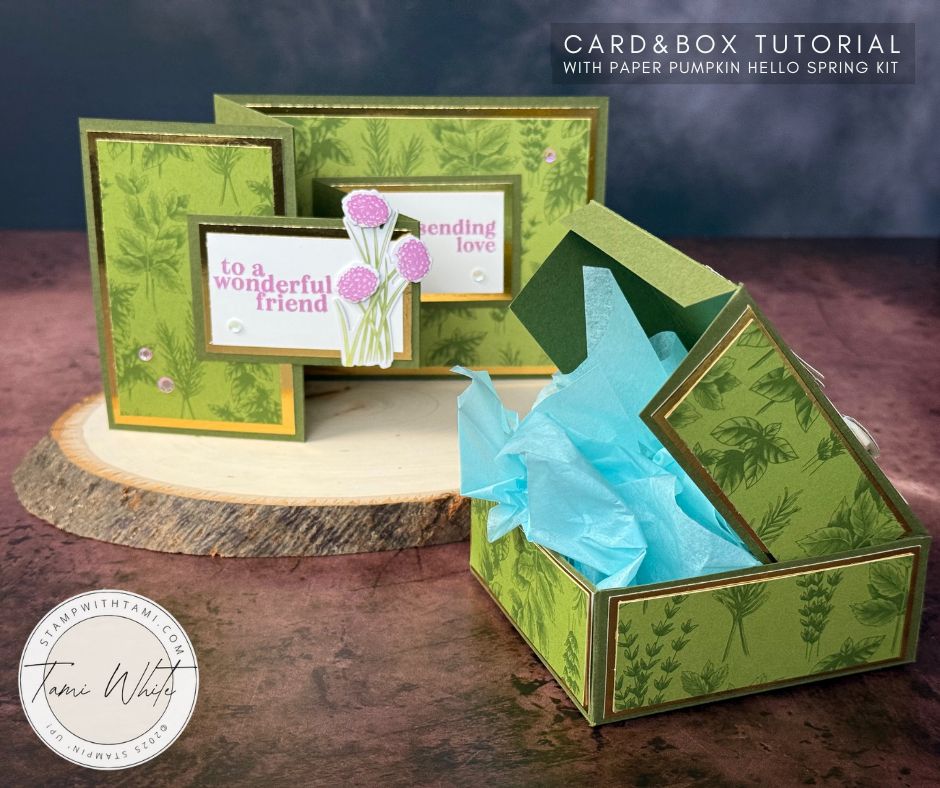 Double Z Fold Card & Matching Pizza Box Treat Box with Hello