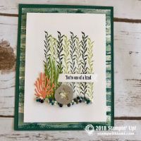 Sea of Textures Bundle