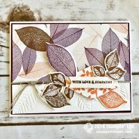 Rooted in Nature Bundle