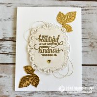 Rooted in Nature Bundle