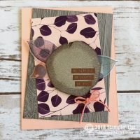 Rooted in Nature Bundle