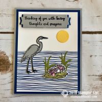 Lily Pad Lake Bundle