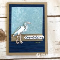 Lily Pad Lake Bundle